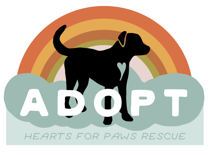 Donate To Animal Rescue