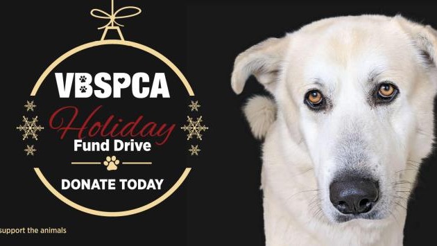 Donations Spca